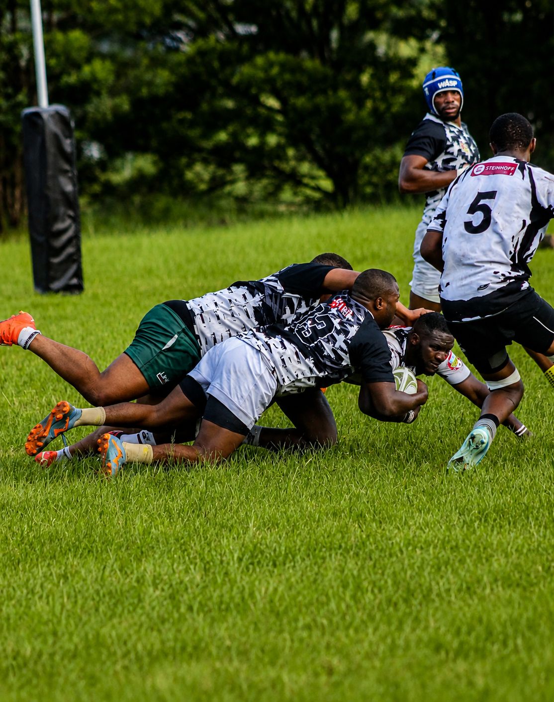 Sports image 12
